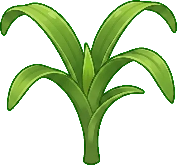 Guzmania: Filiz