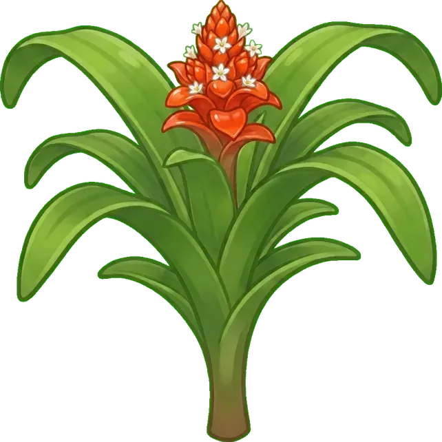Guzmania