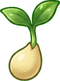 Limon: Tohum