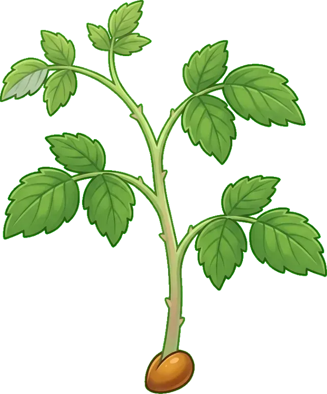Ahududu: Yapraklanma