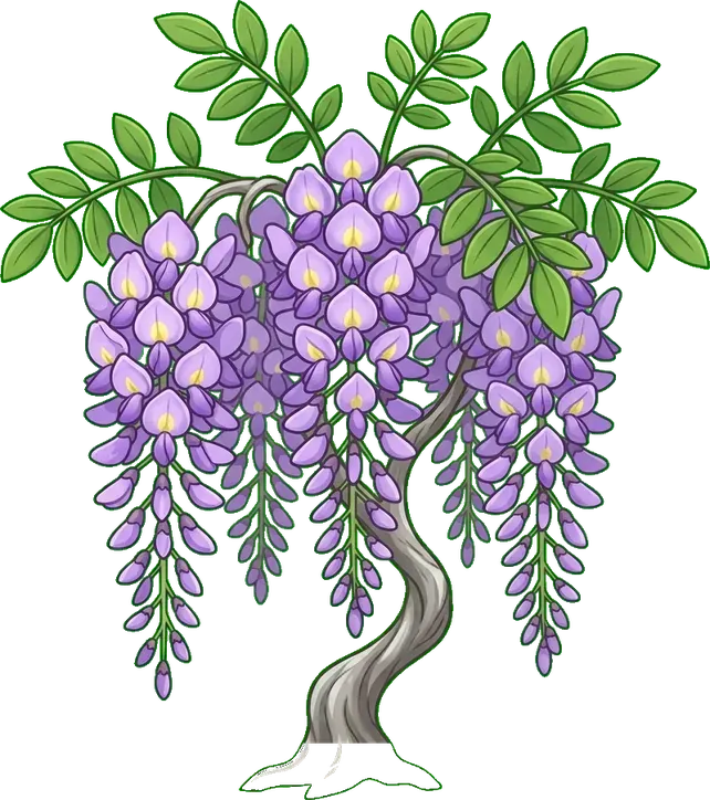Mor salkım